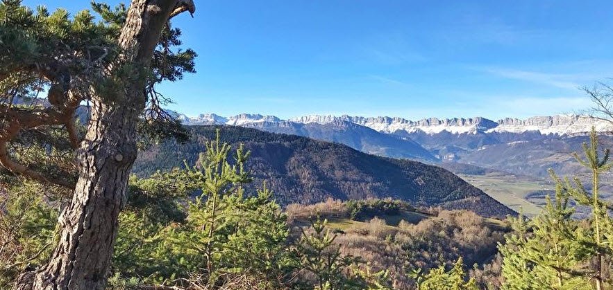Arboretum de Combe Noire , , France